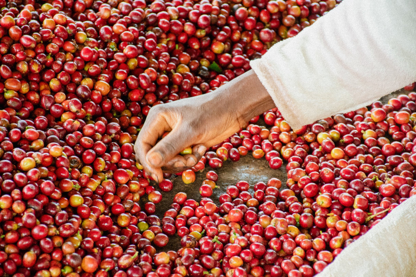 Karimikui AB - Kenya