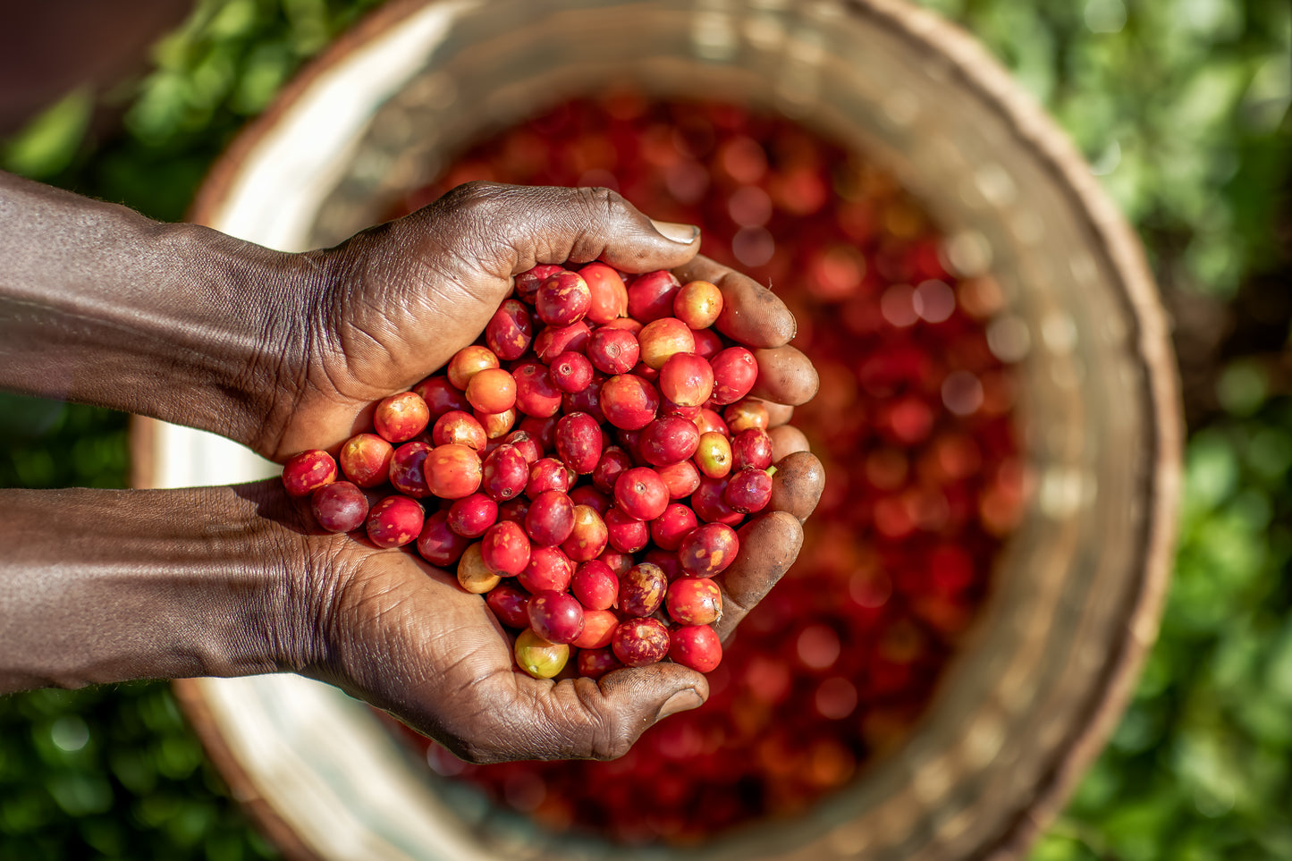 Gerba Dogo - Ethiopia