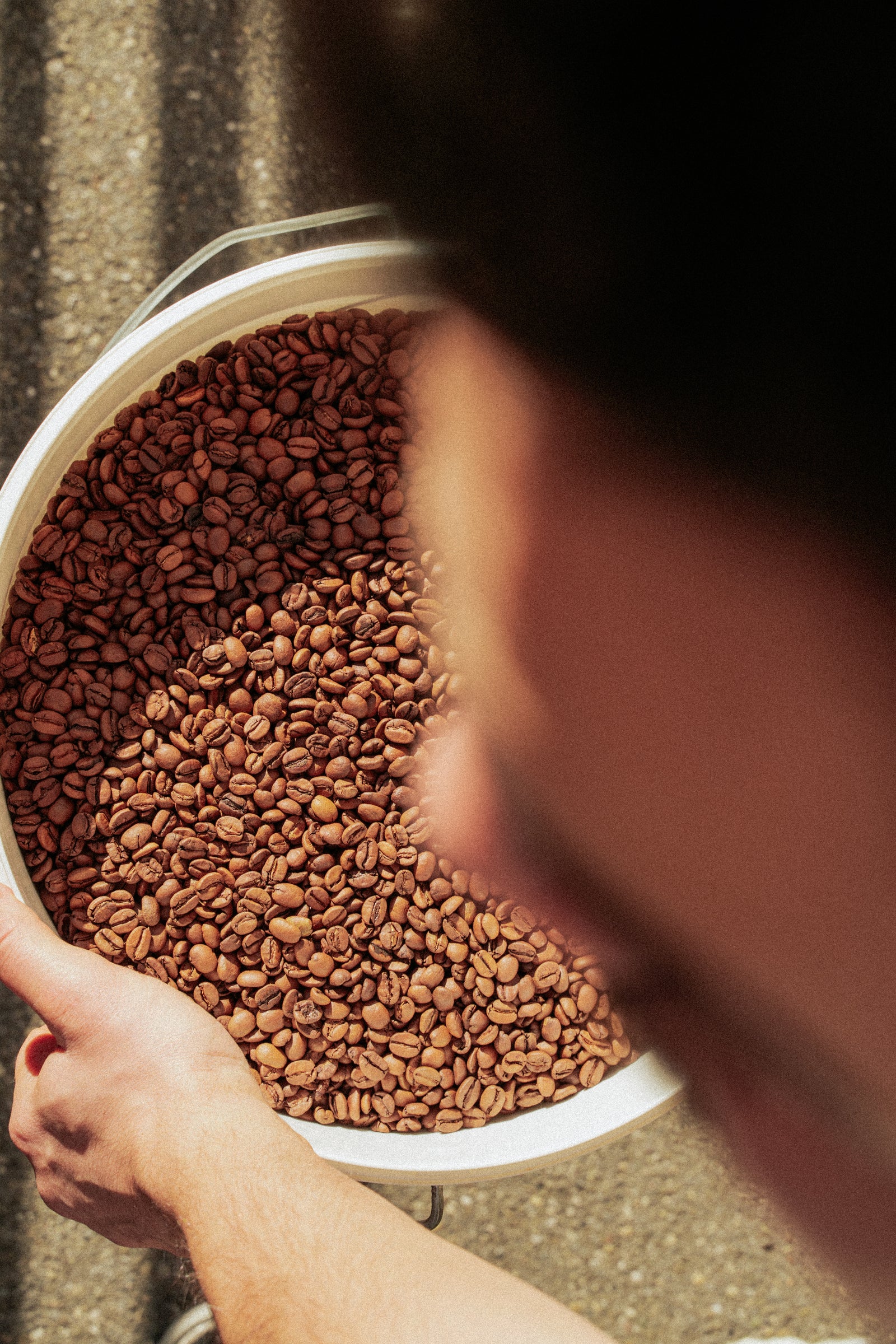 D612 Coffee Roasters - Cafe in San Frediano, Florence