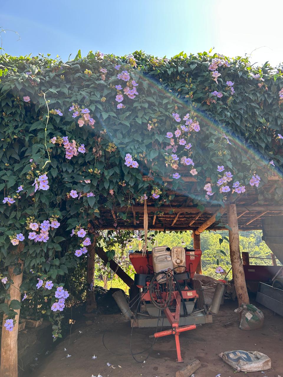 Give&Take #10 - Brazil